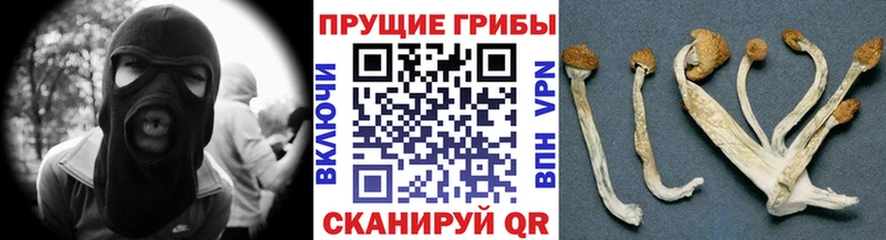 Псилоцибиновые грибы мухоморы  Лабытнанги 